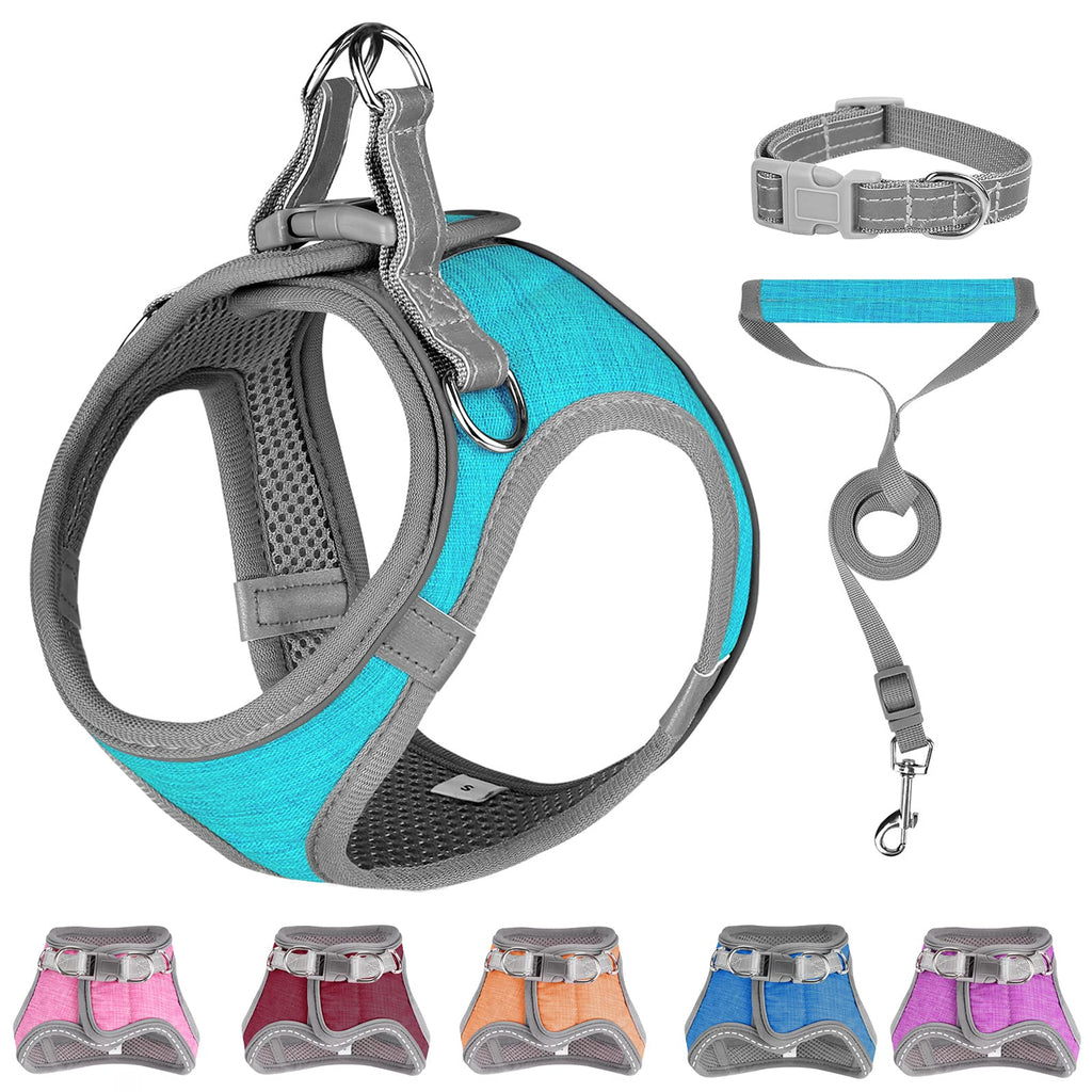 Small Dog Harness, Puppy Harness, Soft Dog Harness and Leash Set with a Reflective Collar for Small Medium Dogs,Comfortable and Reflective Dog Vest Harness Baby Blue XX-Small - PawsPlanet Australia