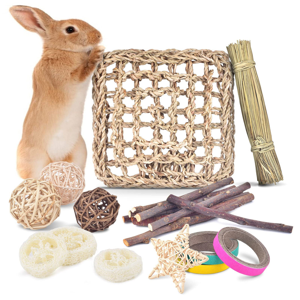 Bissap Bunny Chew Toys for Rabbits, 100% Natural Seagrass Protector Mat Apple Wood Loofah Rattan Ball for Rabbits Hamsters Chinchillas Guinea Pigs with Teeth Grinding Toy Set - 13PCS - PawsPlanet Australia