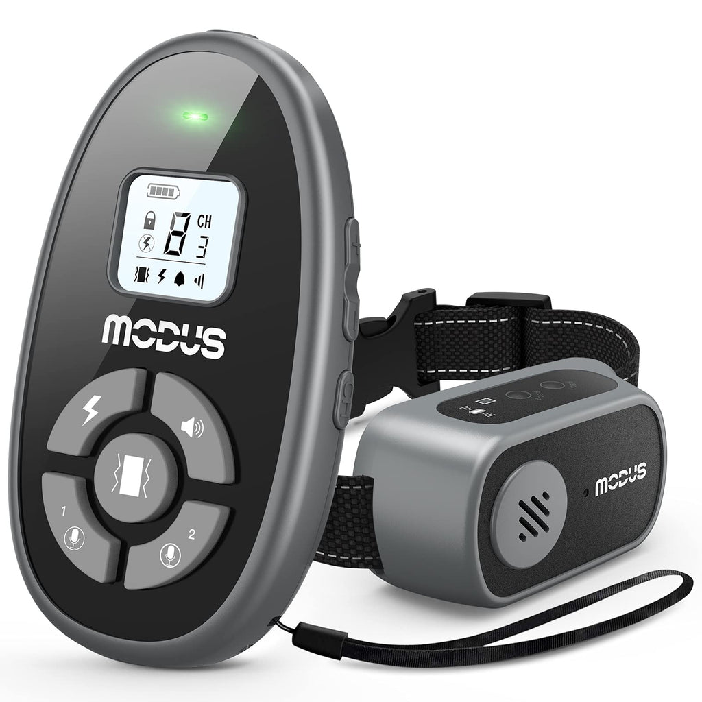 MODUS Dog Training Collar with Remote-4 Training Modes, Dog Shock Collar Rechargeable,Recording Playback,Beep,Vibration,Static Shock,1000Ft Range,Waterproof Dog Collar,Safe for Large Medium Small Dogs - PawsPlanet Australia