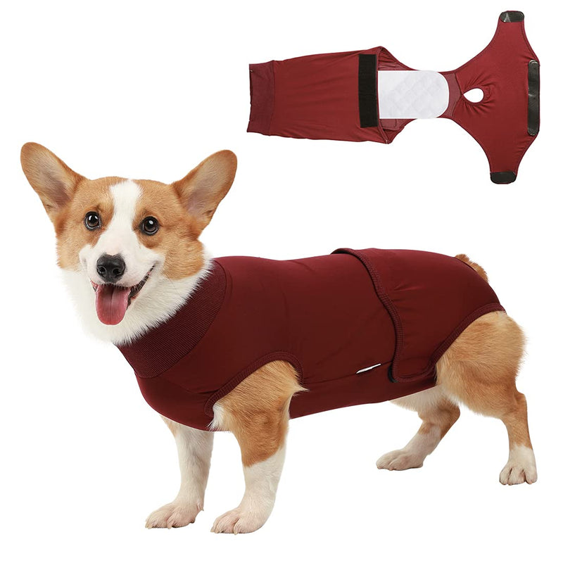 CAVSOIR Dog Recovery Suit Onesie Dog Physiological Pants Diapers Keeper, Pet Abdominal Wound Skin Diseases Protector Substitute E-Collar & Cone, Prevent Licking Pet Surgery Recovery Suit S Red Wine - PawsPlanet Australia