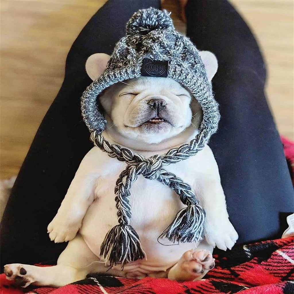 Polar Pom Pom Hat, Warm Pet Dog Knitted Hat,Pet Dog Winter Knitted Hat, Hats for Small Dogs, Winter Dog Hat with Ear Holes and Long Tassel, Grey Medium - PawsPlanet Australia
