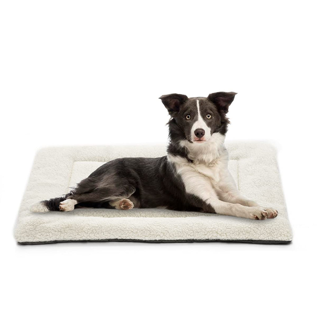 INVENHO Pet Beds for Small, Medium, and Large Dogs and Cats Dog Crate Bed Mat Super Comfort Crate Pad Washable Non-Slip Bottom Mattress Kennel Pad 24-inch - PawsPlanet Australia