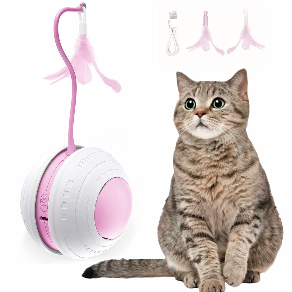 COPOL Interactive Cat Toy, Cat Toys for Indoor Cats, Automatic Cat Toy with Replace Feather/LED Light/ Bird Chirping，Electric USB Charging 360°Self Rotating Ball, Kitten Feather Toys(Pink) - PawsPlanet Australia