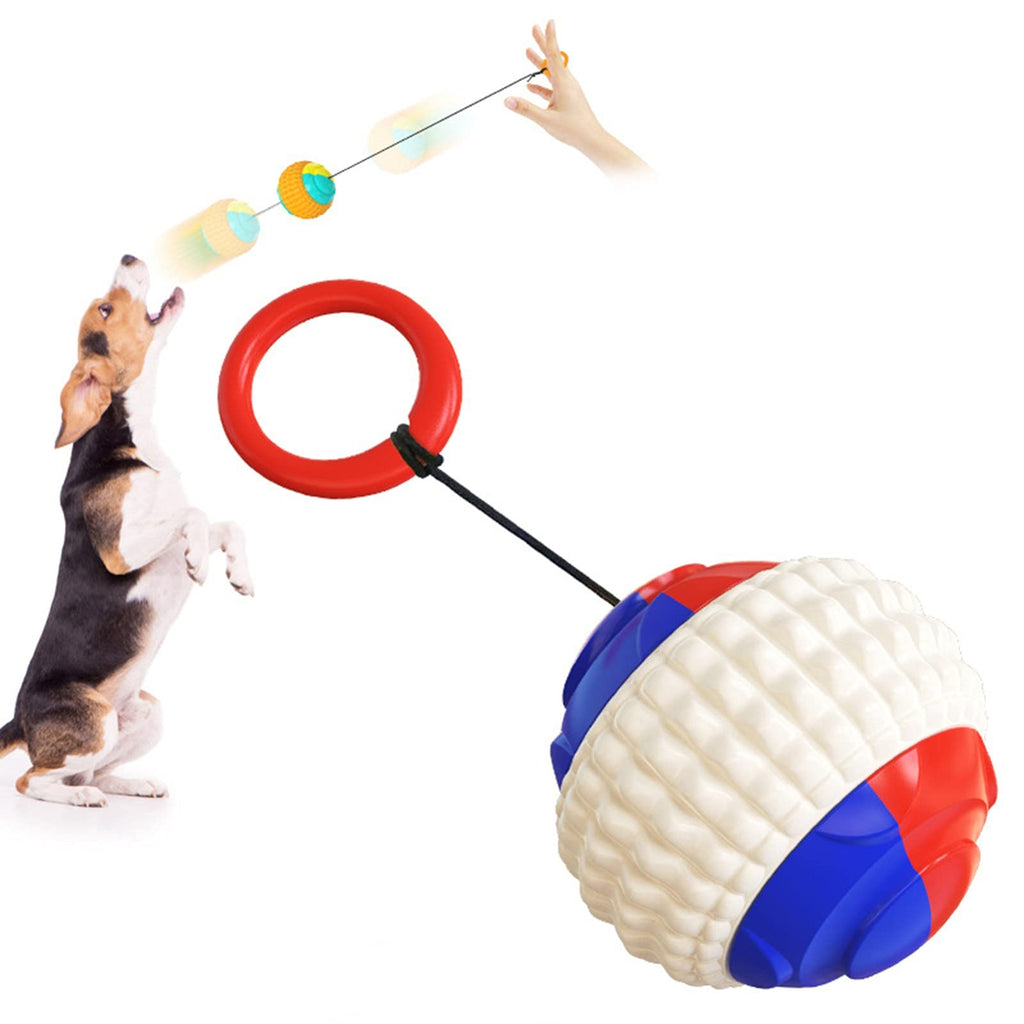 AMZQJMY Dog Ball Interactive Dog Toys Hand Throwing Balls Durable Chew Toy Training Ball for Small Medium Large Dog Retractable Rope Tether Dog Puzzle Ball Blue - PawsPlanet Australia