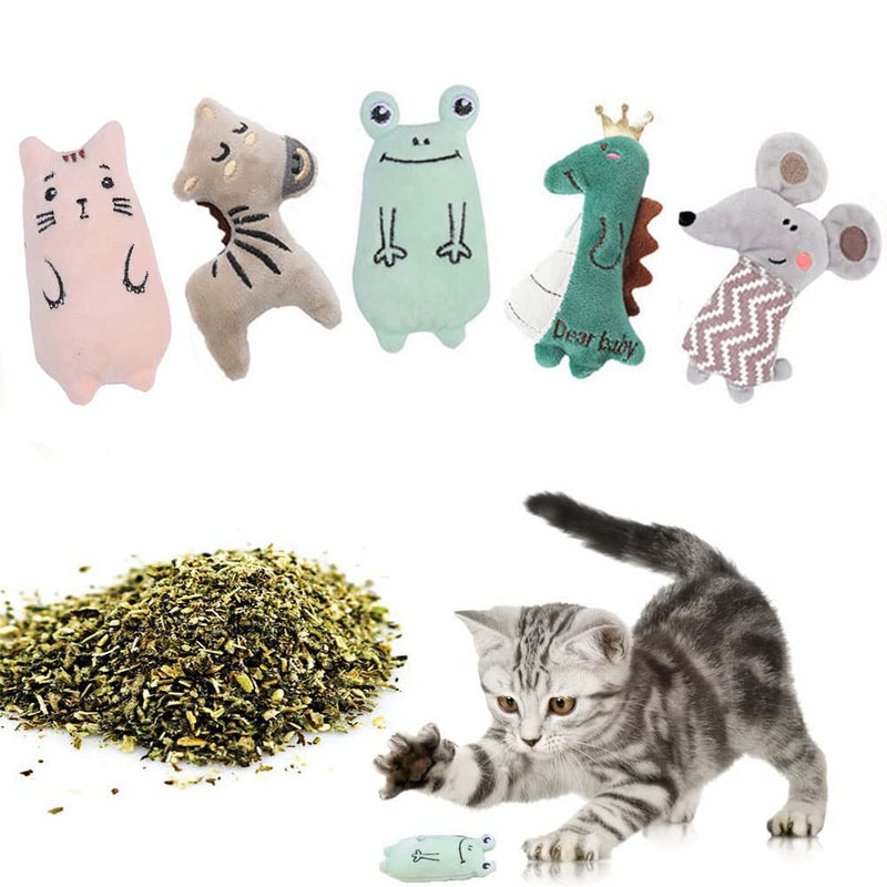 LAVRCJ Plush Catnip Toys Soft Cat Toys Set Cute Cat Pillow Chew Toys Suitable for Cleaning Teeth Cat Nip Toys for Indoor Cats, Includes 5 Different Cute Shapes Catnip Filled Kitten Toy Cat Gifts - PawsPlanet Australia