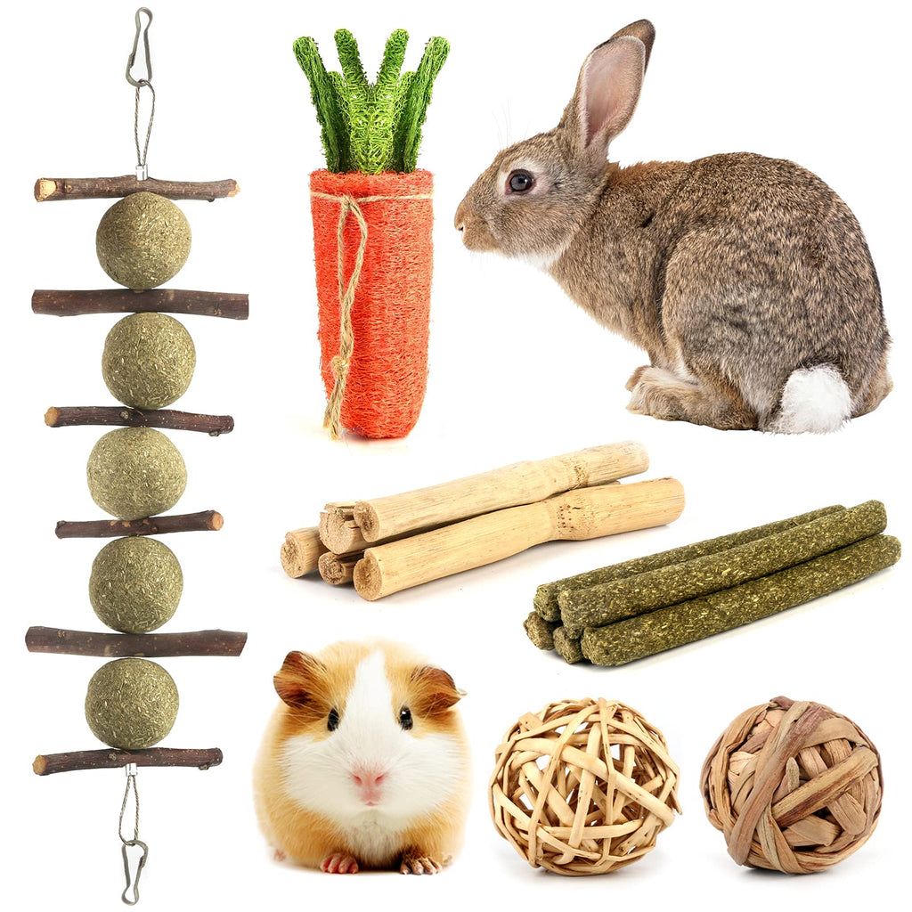 Guinea Pig Toys Bunny Supplies 14 Pieces Cage Decor, Improve Dental Health 100% Natural Materials by Handmade, for Guinea Pigs/ Bunny/ Chinchilla/ Hamsters/ Rats - PawsPlanet Australia