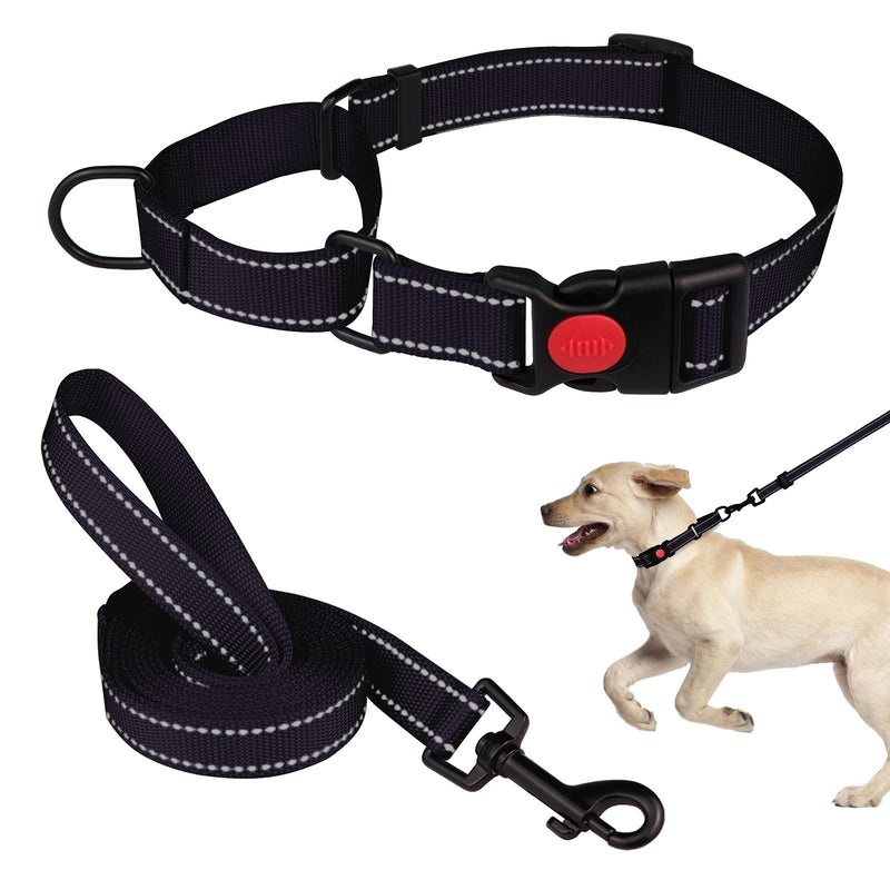 Martingale Dog Collar and Leash Set Martingale Collars for Dogs Reflective Martingale Collar for Small Medium Large Dogs S Black - PawsPlanet Australia