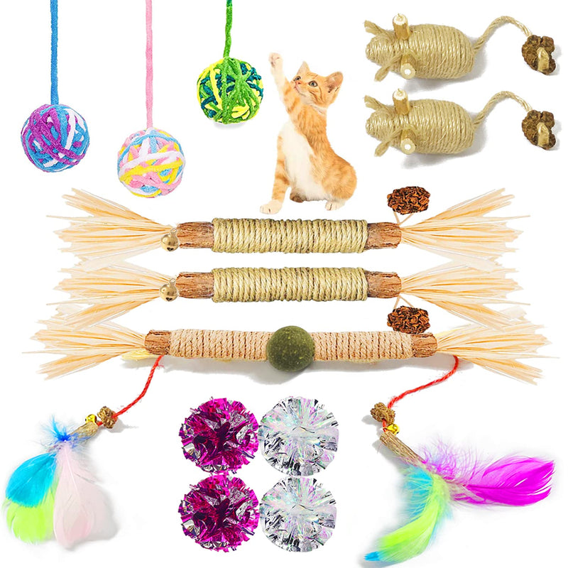 12 Pack Cat Toy Assortment for Indoor Cats, Kitten Toys Natural Silvervine Catnip Sticks Chew Toys Interactive Crinkle Balls Feather Toys Matatabi Mouse for Kitty, Relieving Stress & Cleaning Teeth - PawsPlanet Australia