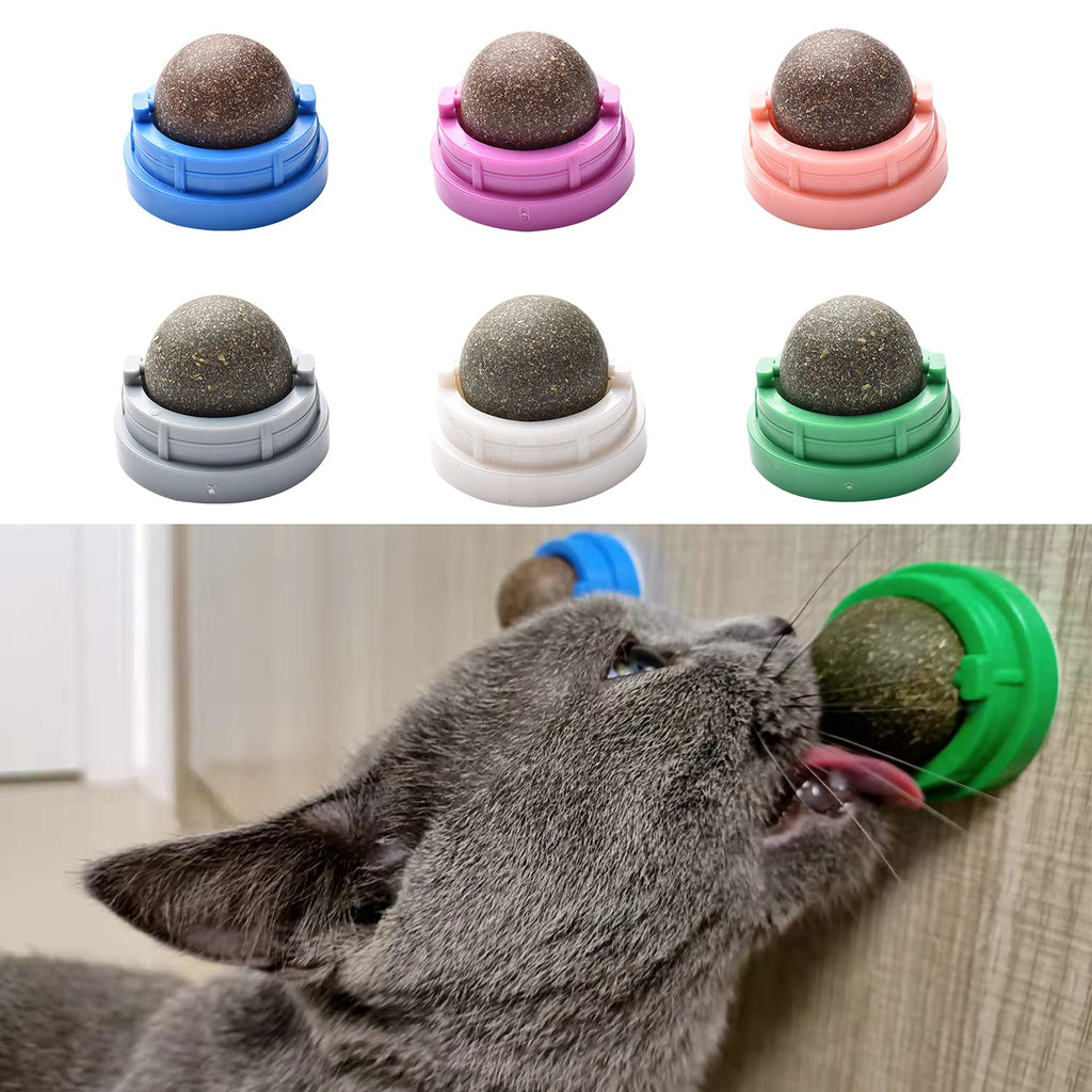 Bisogoon 6 Piece Catni Wall Toy for Cats Catnip Edible Balls Natural Interactive Toy Licking Treats Toys for Cats Kitten - PawsPlanet Australia