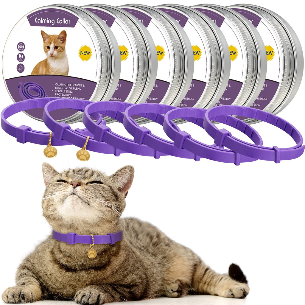 Fiada 6 Pieces Calming Cats Collar Adjustable Cat Relieve Reduce Anxiety Collar Lavender Scent Long-Lasting Relaxing Cat Collar with 3 Pendants for Puppies Cats Reduce Stress Anxious, Purple - PawsPlanet Australia