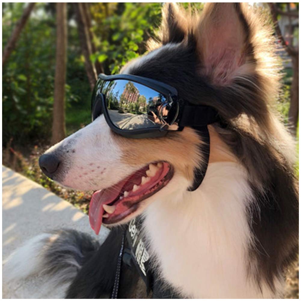 DELIFUR Dog Anti-UV Glasses Waterproof Dog Sunglasses Golden Retriever Samoyed Sunglasses Goggles Big Dog Sunglasses for Walking Cycling - PawsPlanet Australia