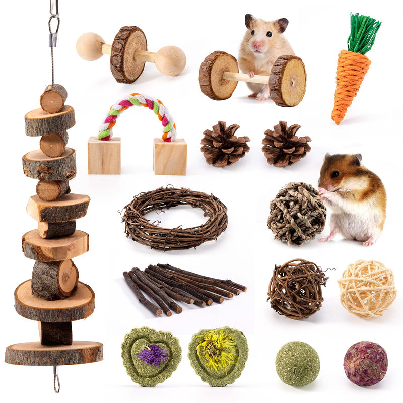 Woiworco 16 Packs Hamster Chew Toys Guinea Pig Toys Chew Molar and Exercise Toys, Natural Wooden Play Small Pets Exercise AccessoriesTeeth Care Molar Accessories for Cage - PawsPlanet Australia