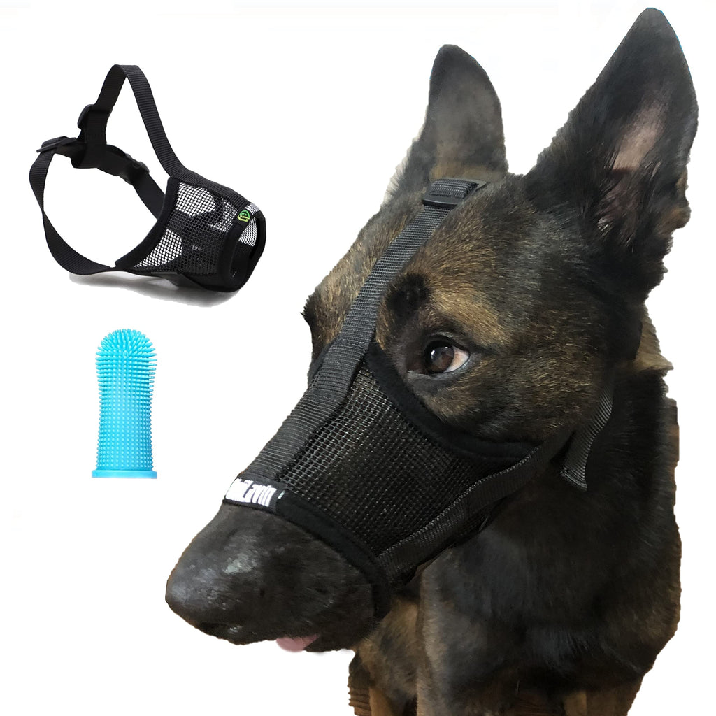 MoiiLavin Dog Muzzle Breathable Nylon Soft mesh Anti-Biting Barking Secure Chewing for Medium Large Small Size Dogs Allows Drinking Panting with Dog Toothbrushes Black Mesh S - PawsPlanet Australia