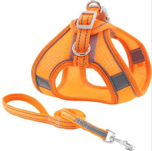 Dogs Harness Leash Set Family Pet Dog Leash Escape Proof Safe Cat Vest Harness for Walking Outdoor - Reflective Adjustable Soft Mesh Breathable Body Harness - Easy Control for Small, Medium, Large Cats and dogs Orange S（neck: 12"-14" chest:15"-17.5"） - PawsPlanet Australia