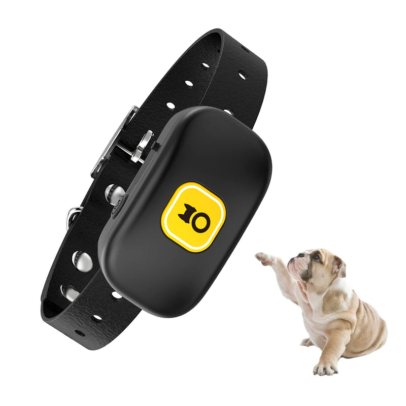 Bark Collar for Dogs, Pedono Automatic Control 200A Intelligent Barking Detection IPX7 Water-Resistant with 7 Levels Adjustable Sensitivity and 8 Levels Static Shock for Small Medium Large Pet Dogs PVC-Black - PawsPlanet Australia