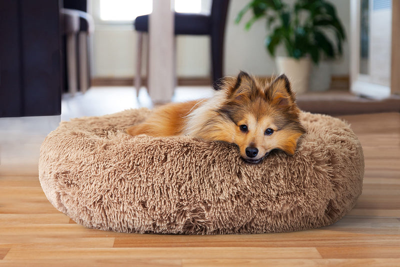 JDR Pet Dog Bed, Long-Lasting, Washable, Durable, Small, Medium, Large, X-Large, Neutral Color - PawsPlanet Australia