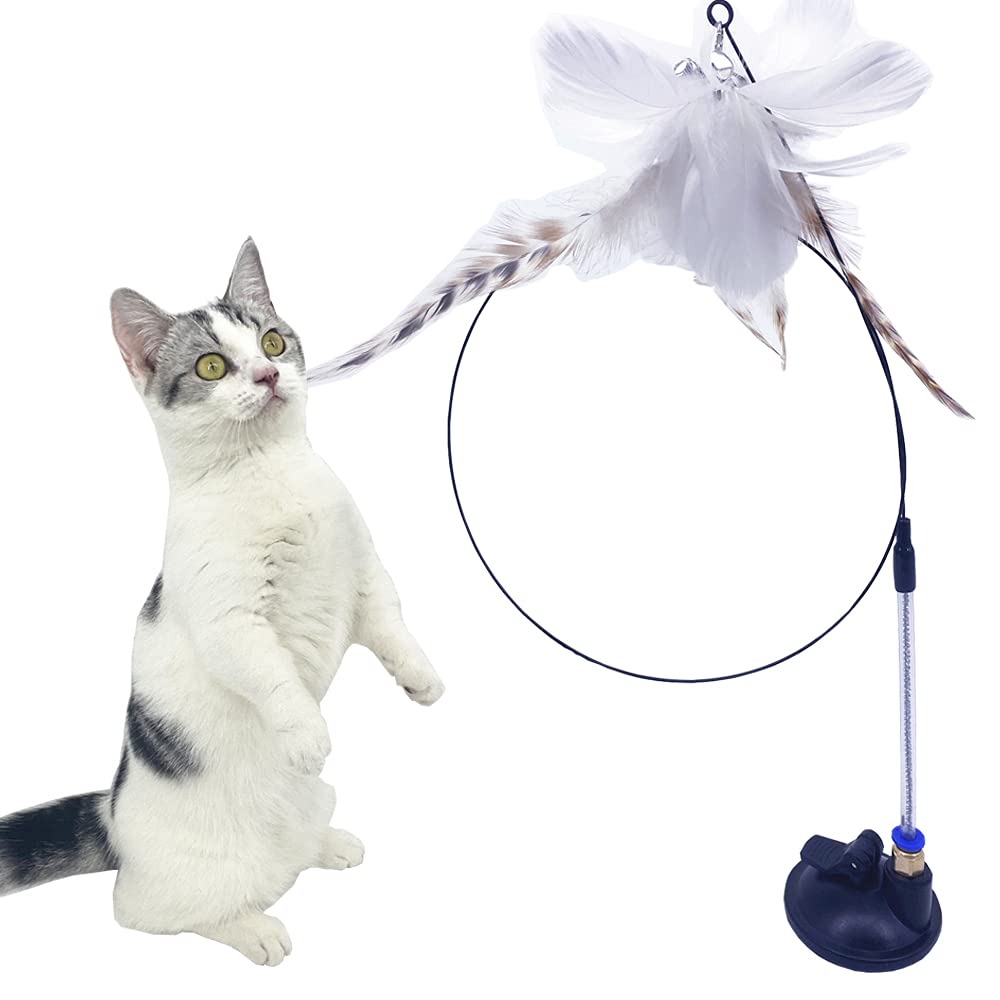 Cat Toy Long Stick Funny cat Stick Powerful Suction Cup Interactive cat Feather Toy Bird Feather cat Toy Indoor cat Play Chase Practice - PawsPlanet Australia