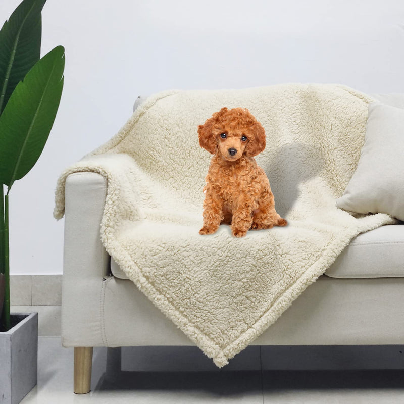 Fuzzy Puppy Blanket Warm Fleece Small Dog Blankets Boy Sherpa Washable Fluffy Pet Cat Throw Pad Couch Cover Premium Beige S (24"x31") - PawsPlanet Australia