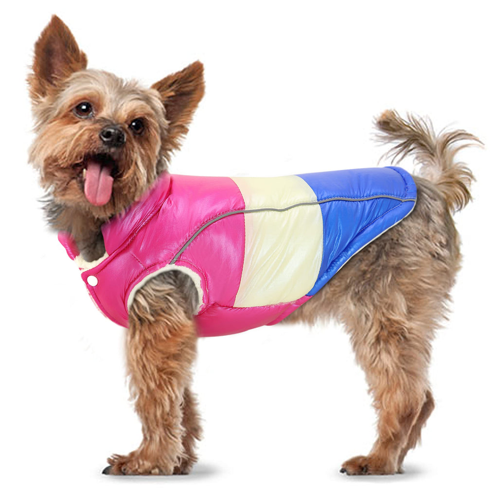 Didog Small Dog Winter Coat, Reflective & Waterproof Vest Jackct with Warm Fleece Padded for Small Dogs Puppy Cats Cold Weather Daily Use & Outdoor Walking Hiking Chest:14", Back Length:9.5" Blue - PawsPlanet Australia