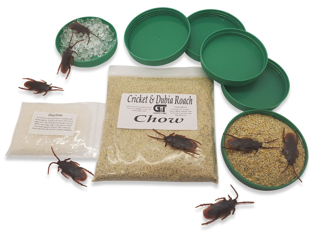 G&T Country Living Feeder Cricket, Dubia Roach/Feeder Insects’ Mini Food and Water Dish/Bowl Set (6-lids/Bowls) Includes ½ lb. Premium Chow and 1 oz Water Gel Crystals. - PawsPlanet Australia