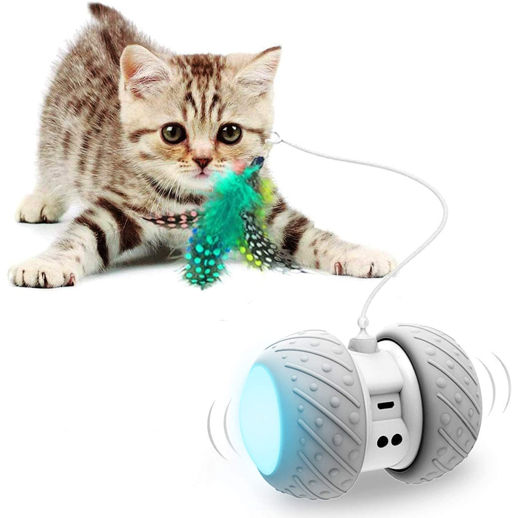 COONidos Interactive Cat Toys-Automatic Kitten Toys for Indoor Cats, Robotic Feathers/Birds/Mouse/Ball Toys for Cats/Kitten, 360 Degree Self Rotating Spinning Light USB Charge - PawsPlanet Australia