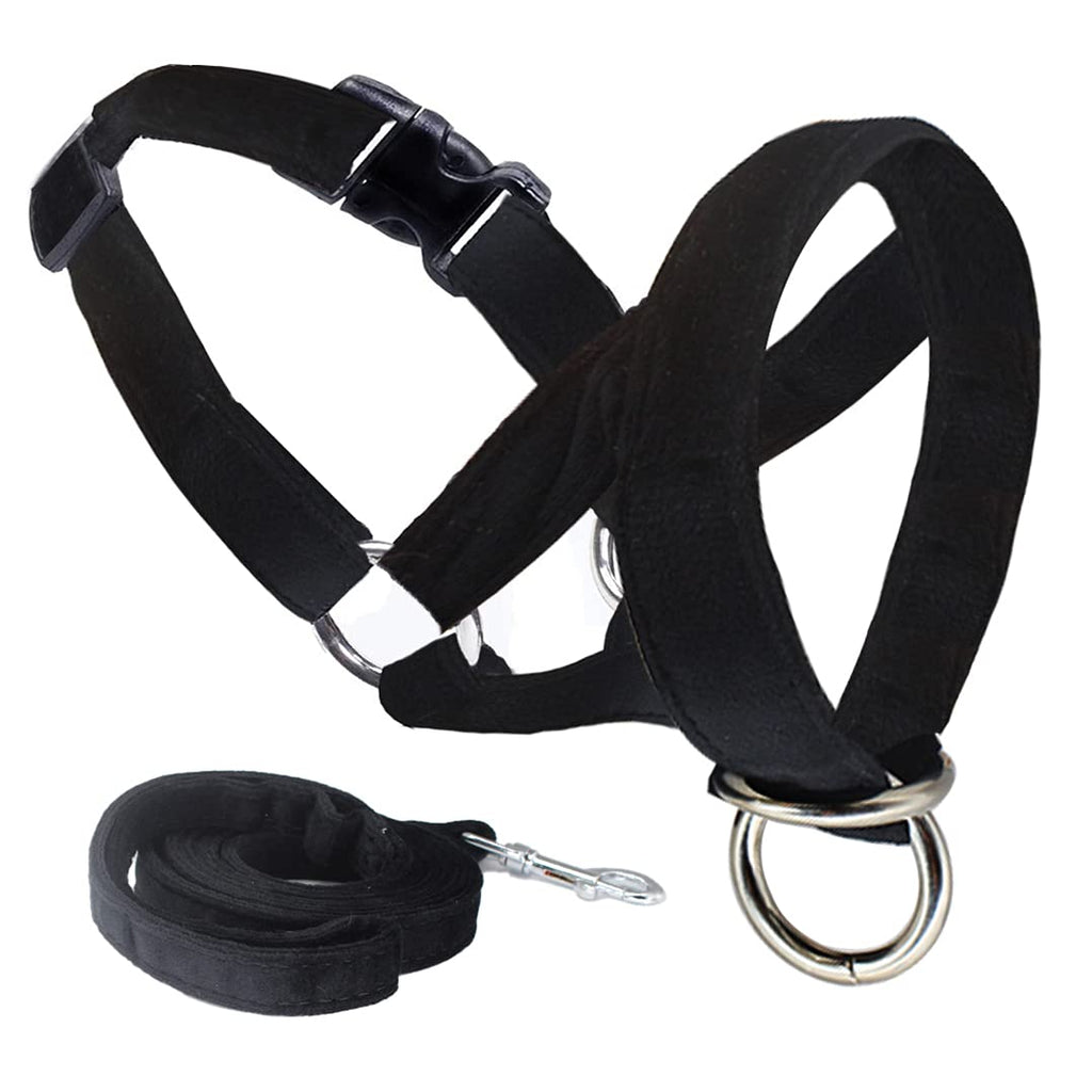 Charmsong Reflective Headcollar Halter Painless Durable Head Collars for Training XS Modern Black - PawsPlanet Australia