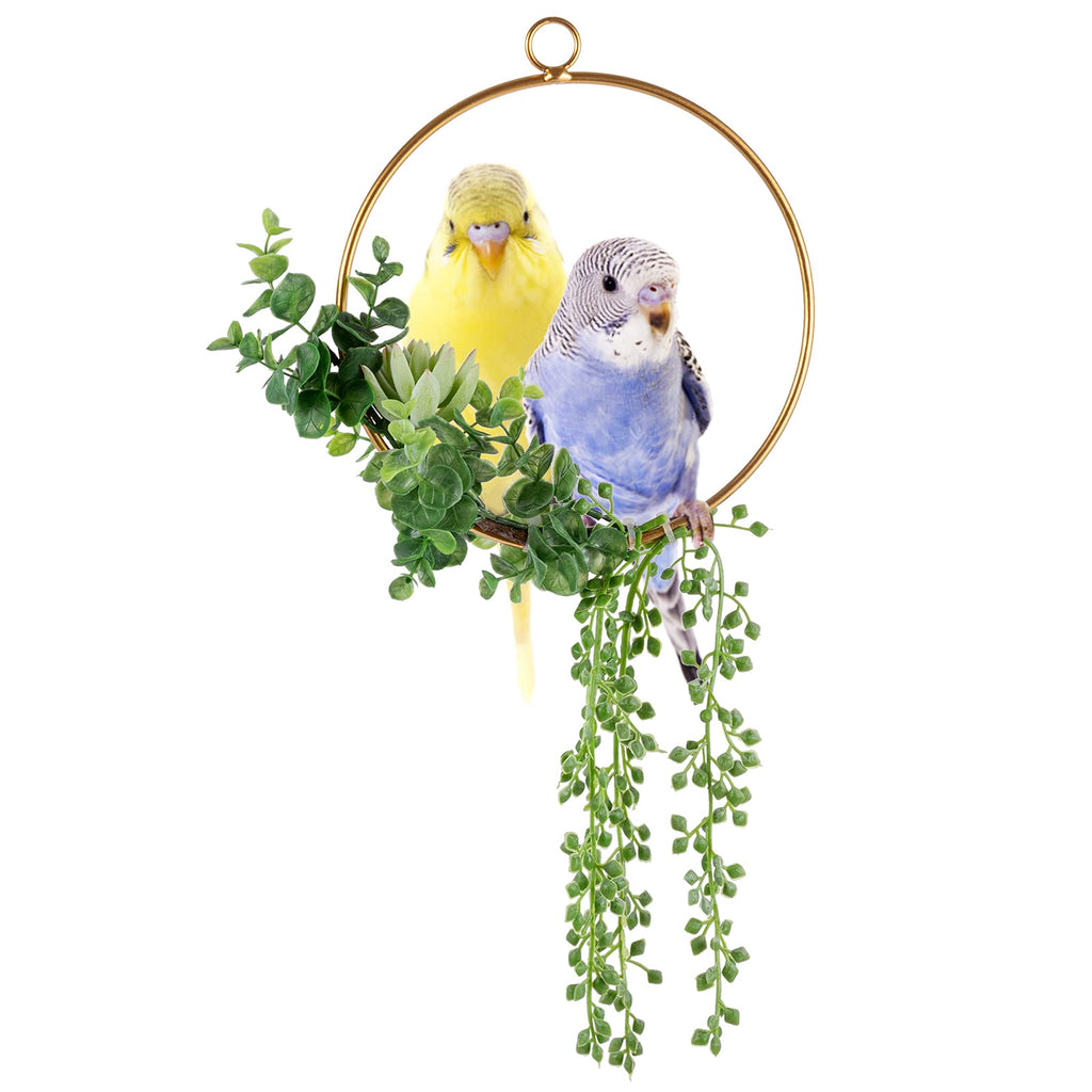 Succulents Simulation Parrot Swings- 7.9" Swing Perch Cage Parakeet Swing Bird Stand Perch Toys for Small & Medium Cockatoo Parakeet Canary - PawsPlanet Australia
