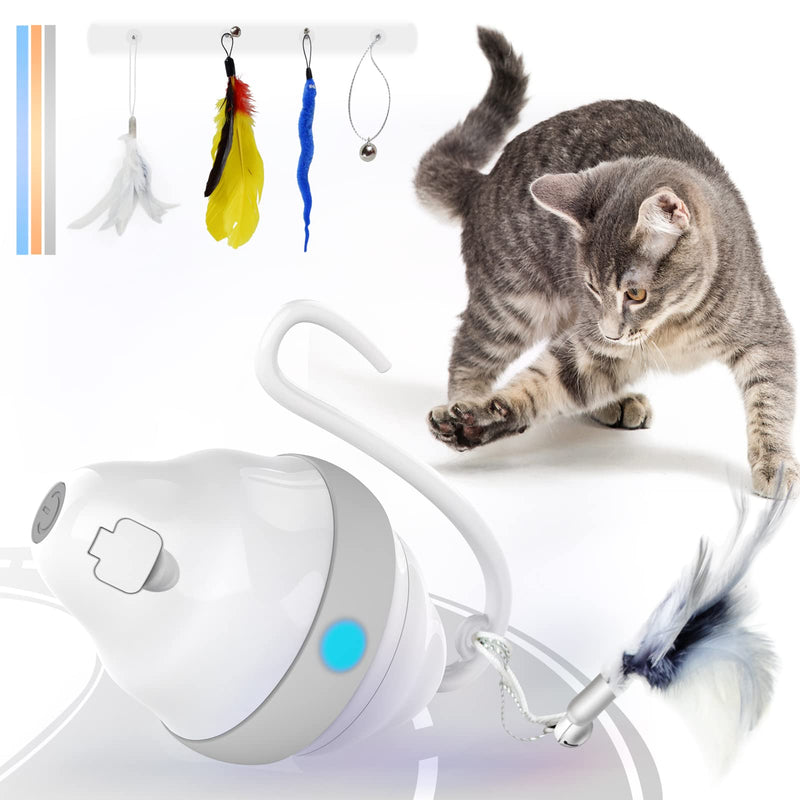 Harnestle Cat Toys Interactive Automatic Kitten Toys with Feathers Ribbon Bell Worm, USB Charging Led Light 360° Irregular Rolling Cat Moving Toys for Indoor Cats Exercise and Hunting - PawsPlanet Australia