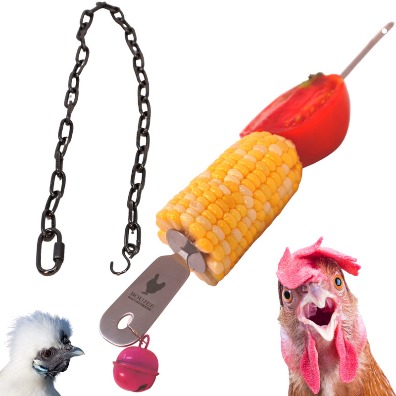 12 Inch Treat feeder for Chickens and large birds. Hang Fruit and Veggies On Stainless Steel Hanger for Hens. 2 Foot Chain with Hooks and Clamp for Hanging. Bright Pink Bell Toy. - PawsPlanet Australia