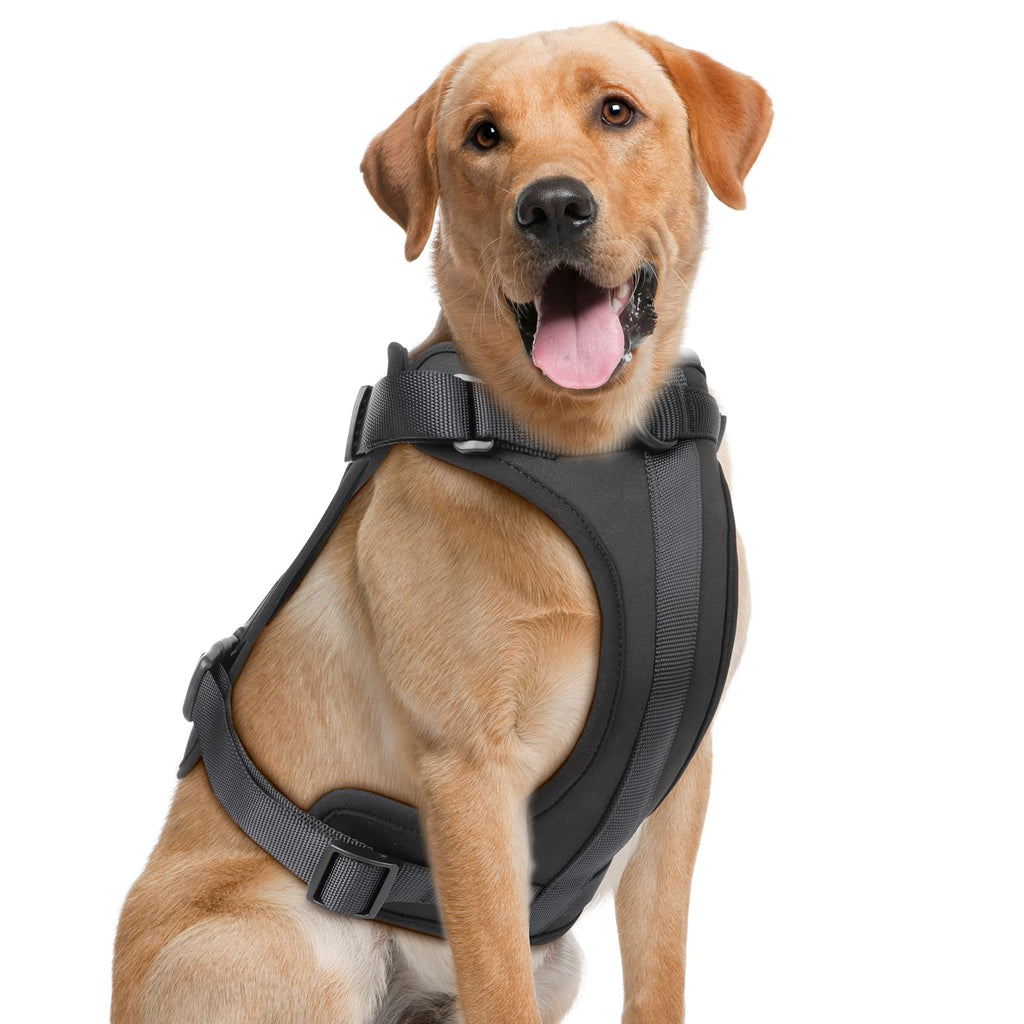 No Pull Dog Harness: 2021 Upgraded Adjustable Durable Training Dog Vest Harness with Soft and Comfortable Cushion, Easy to Clean, for Small Puppy and Medium Large Dogs XS Black - PawsPlanet Australia