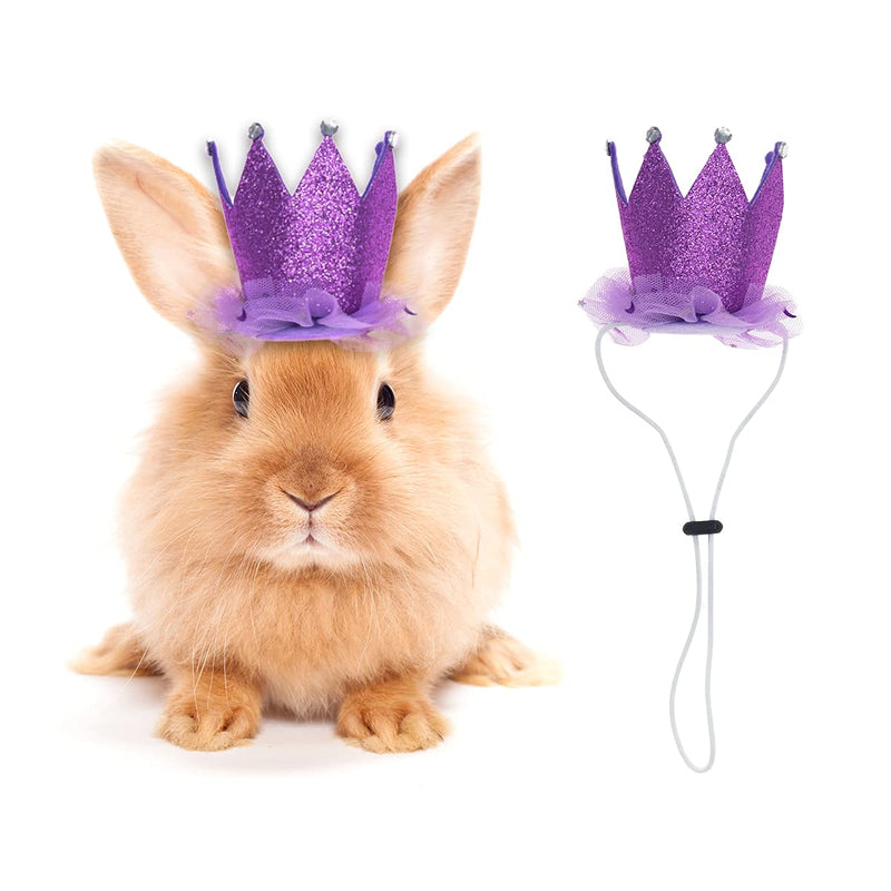 2pcs Rabbit Bunny Hat Hamster Guinea Pig Mini caps ,Festival Party Small Animals Crown Headwear Accessories for Pets pink&blue - PawsPlanet Australia