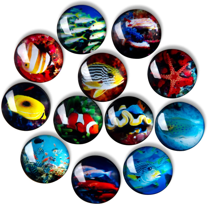 Fridge Magnets 12 PCS Fishes Round Glass Refrigerator Magnets Home Decor Office Decorations Boho Decorative Magnets for Whiteboard Locker Funny Magnets for Boys and Girls Cute Christmas Birthday Gifts Fish - PawsPlanet Australia