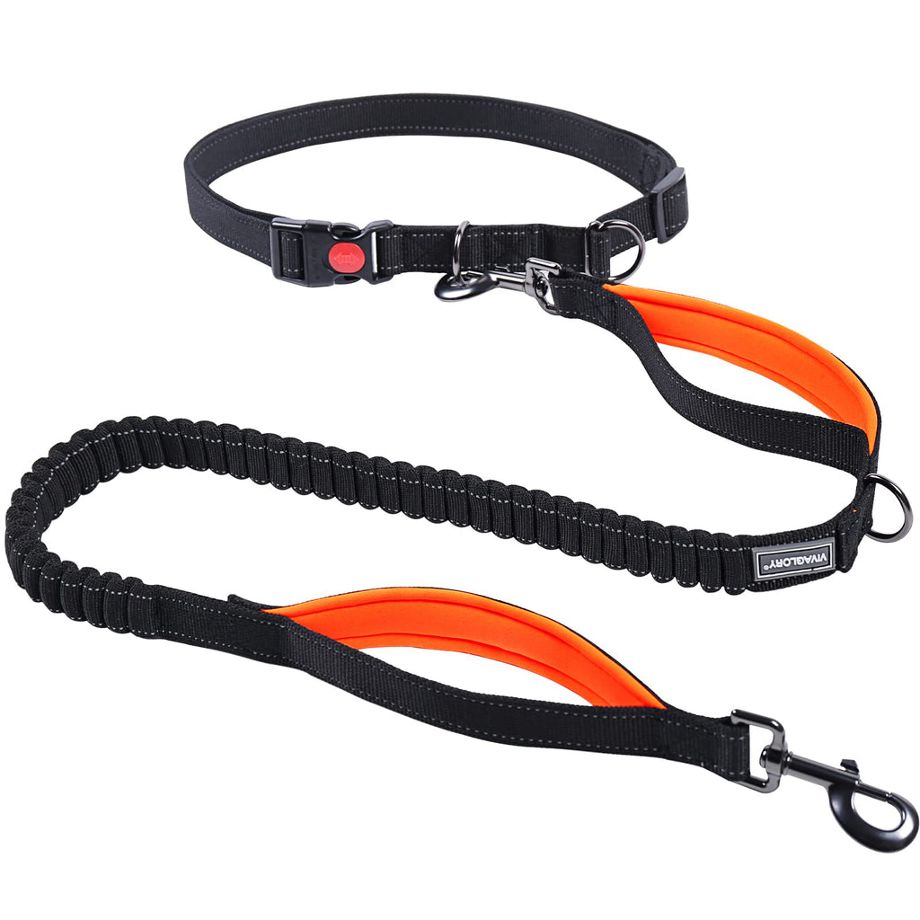 VIVAGLORY Hands Free Dog Leash with Durable Padded Dual-Handle Bungee Leash for Medium and Large Dogs, Reflective Waist Leash for Training Running Walking Jogging Fits waist 25½"~44" Black/Orange - PawsPlanet Australia