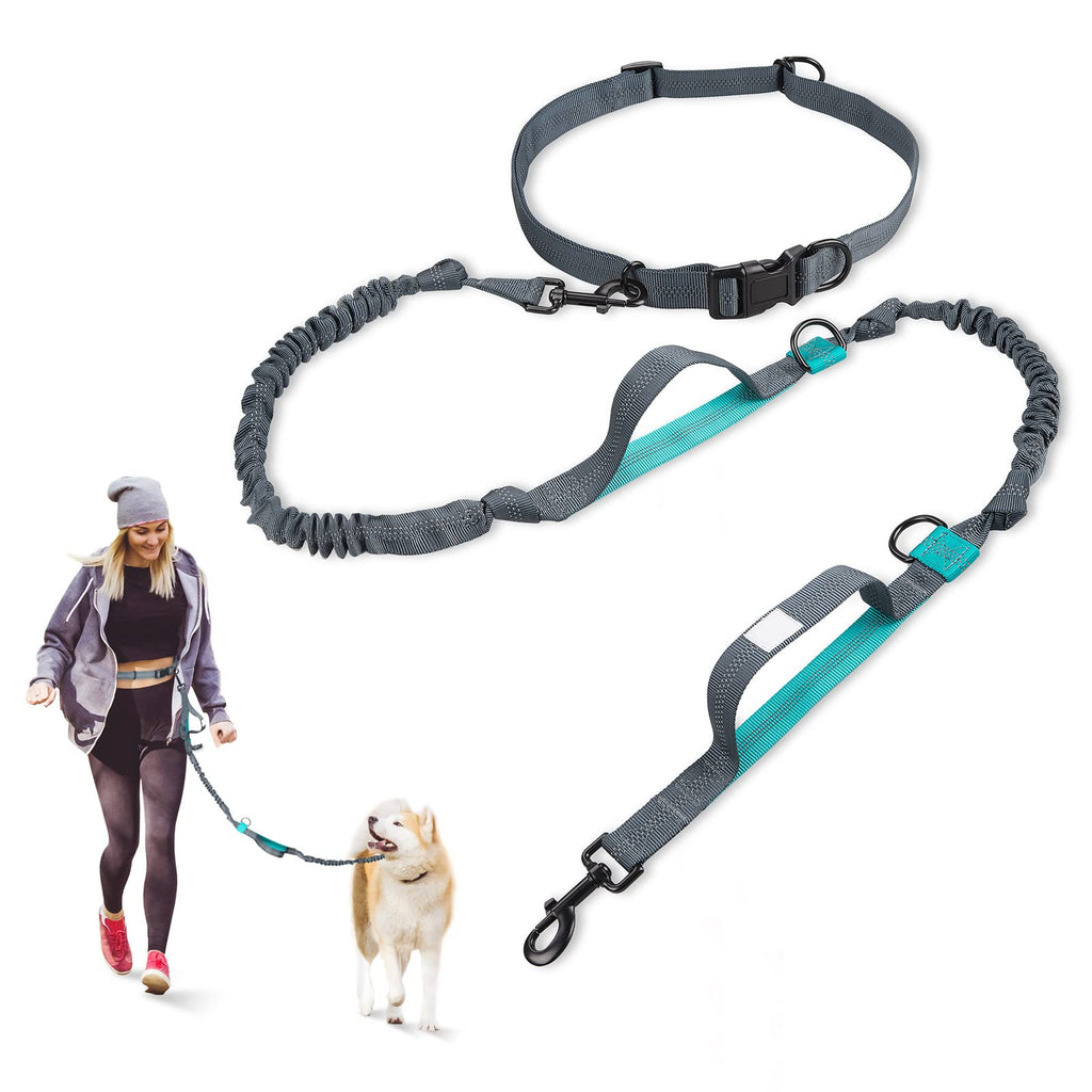 Generic Hands Free Dog Leash with Adjustable Waist Belt for Medium and Large Dogs,Dual Padded Handles, Retractable Bungee Reflective Stitches Walking Hiking Running, Blue, 59.05L×1.37W×0.79H - PawsPlanet Australia