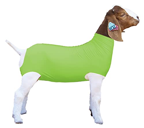 Show Pro Neon Green Spandex Goat Tube for Show Goats - Show Livestock Supplies: Goat Covers & Blankets Medium - PawsPlanet Australia