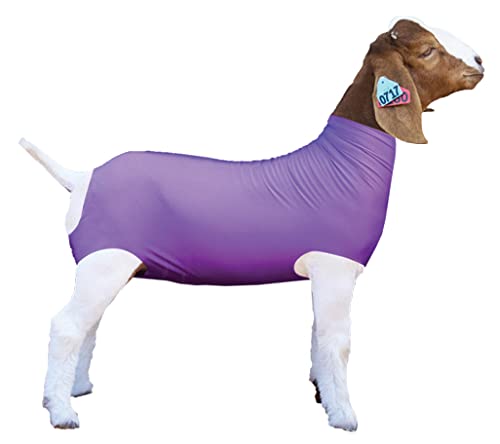Show Pro Purple Spandex Goat Tube for Show Goats - Show Livestock Supplies: Goat Covers & Blankets Medium - PawsPlanet Australia