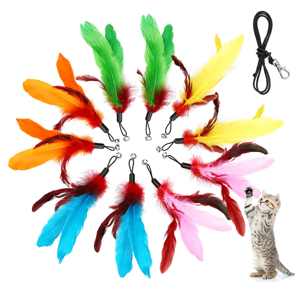 MeoHui Cat Wand Toys Refills, Cat Feather Toys Accessories, 10PCS Squiggly Worms Replacements and 1PC Replacement String for Cat Fishing Pole, Assorted Teaser Refills with Bell for Indoor Cats Kitten Feather Refills - PawsPlanet Australia