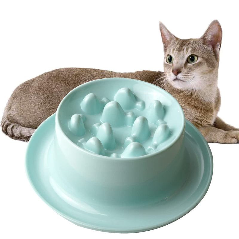 Slow Feeder Cat Bowls,Raised Cat Bowl Fun Pet Feeder Bowl Stopper,Interactive Bloat Stop Cat Feeder,Durable and Prevents Obesity Improves Digestion Pet Bowl Green fishbone design - PawsPlanet Australia