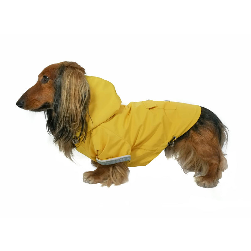 DJANGO Highland Dog Jacket and Raincoat - Water-Repellent, Windproof, and Harness-Friendly Winter Dog Coat and Stylish Dog Raincoat with Adjustable Drawstrings, Optional Hood, Premium Gunmetal Hardware, and Back Pocket X-Small Dandelion Yellow - PawsPlanet Australia