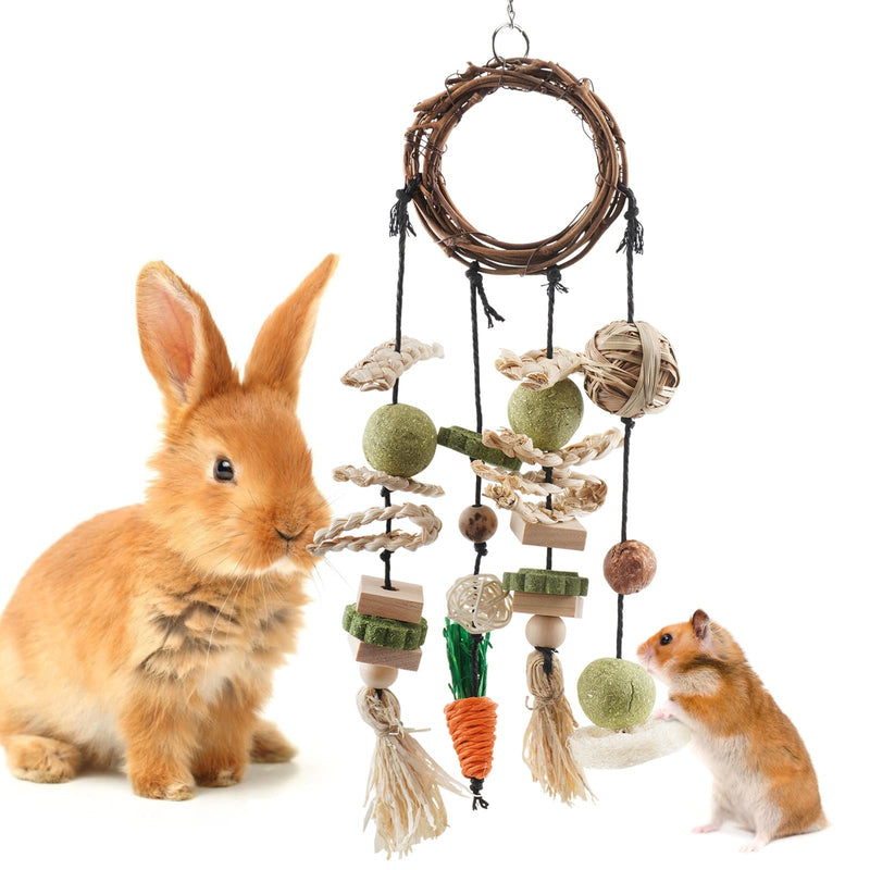 Bissap Bunny Chew Toy, Rabbits Cage Hanging Chew Toys and Treats Rattan Ring with Snacks for Guinea Pigs Chinchillas Hamsters Rats and Other Small Pets Teeth Grinding - PawsPlanet Australia