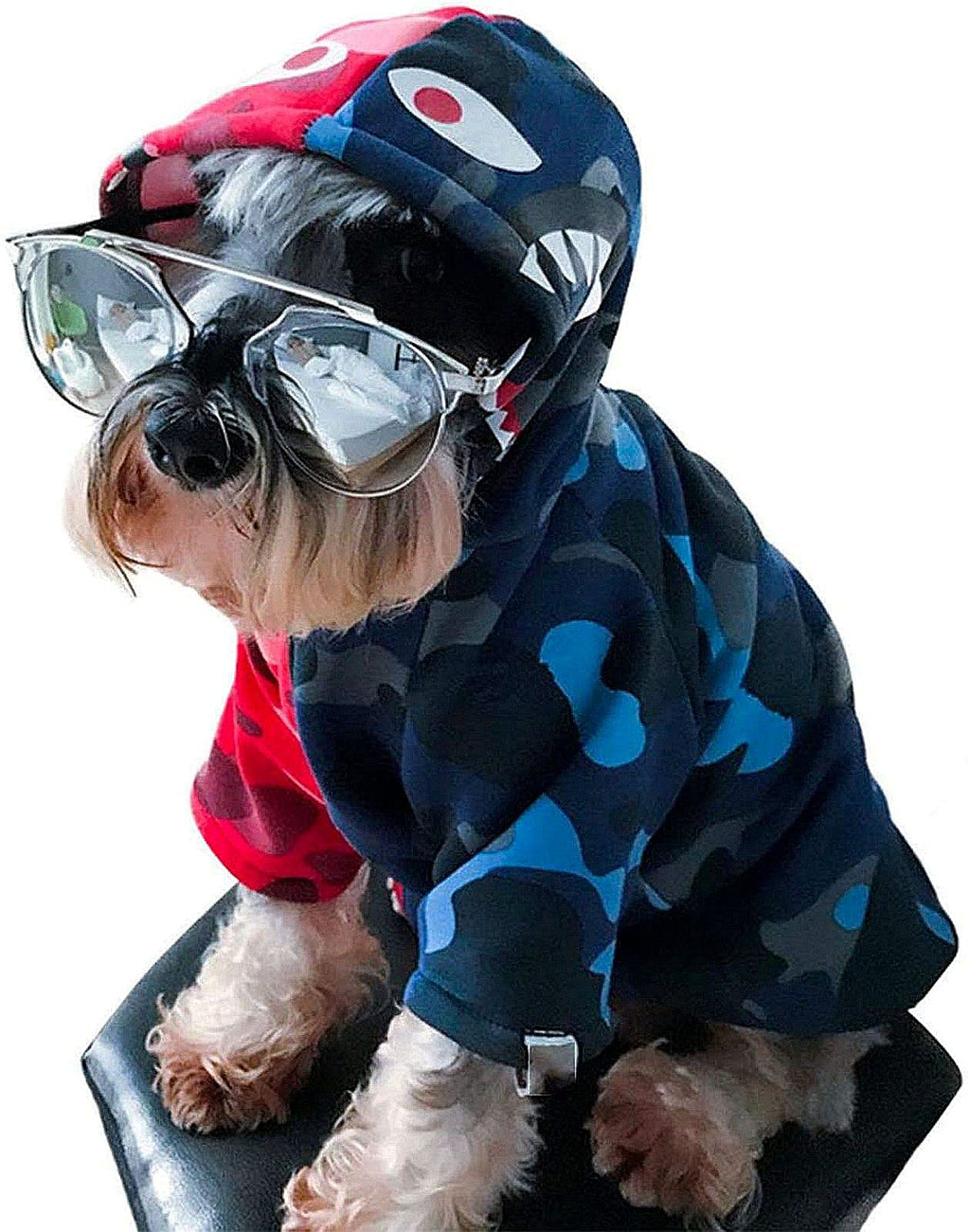 Dog Reflective Hoodie-Waterproof and Windproof Dazzling Jacket for Pet - Fashion Small Dog Windbreaker Reflective Flashing Pet Clothes - Full Blossom Fleece Turtleneck black - PawsPlanet Australia