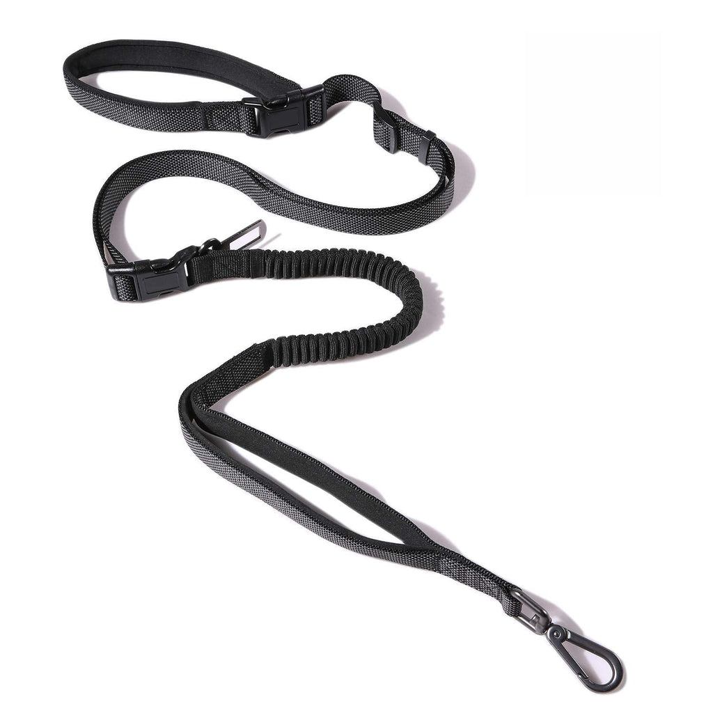 Hands Free Dog Training Leash for Large to Small Dogs, Heavy Duty Long Leash with Double Handle, No Pull Bungee, Reflective Waist Leash for Running, Car Seat Belt 25mm BLACK - PawsPlanet Australia