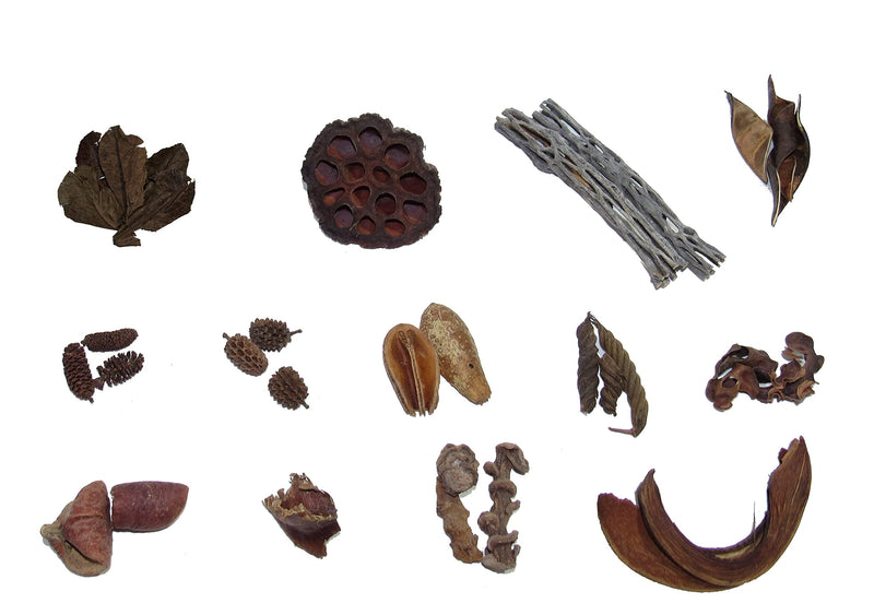 Box Lot of 30 Botanicals for Aquariums: Indian Almond Leaves, Cholla Wood, Birch Cones, Lotus Lafi Twistie Curve Pods, Pear Halves Pods, Coco Curls, Banana Sticks for Freshwater Blackwater Tannins - PawsPlanet Australia