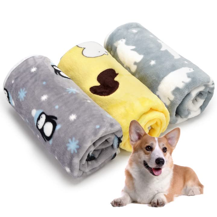 ARGOPET 1 Pack 3 Puppy Blanket Super Soft Cute Pet Blanket Cover for Bed,Kennel,Sofa Flannel Throw Dog Blanket for Medium Large Dog, Cat (30*20inch) 30*20inch - PawsPlanet Australia