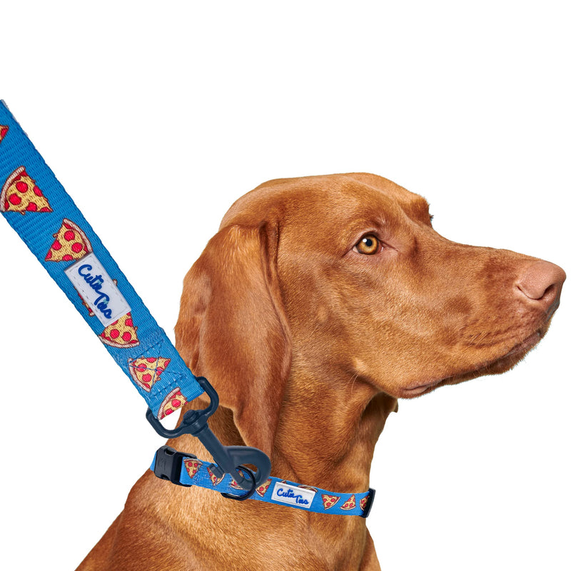 Pizza Themed Dog Leash, 5 Feet to 6 Feet Long, 5/8" to 1" Wide, for Small, Medium & Large Dogs, Distinctive Designs Small (5/8" x 5') - PawsPlanet Australia