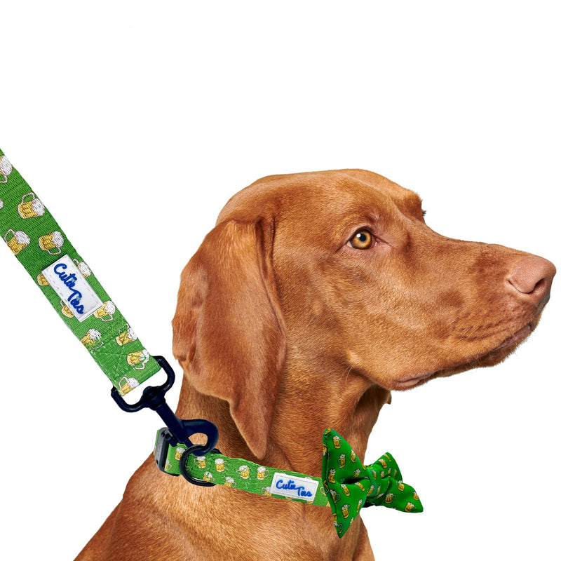 CUTIE TIES Dog Leash – Durable Nylon Material - Premium Quality Leash for Dogs - Fancy Leashes - Cute Dog Leash in Two Sizes - Green Beer Small (5/8" x 5') - PawsPlanet Australia