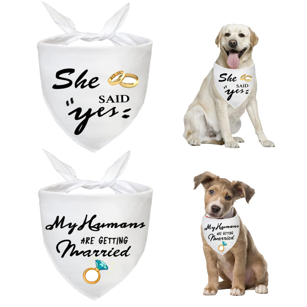 Waghaw My Humans are Getting Married She Said Yes Dog Bandana, Engagement Gifts Wedding Engagement Photos 2 Pack Scarfs for Small Medium Large Dogs Pet Puppies Black Black (Pack of 2) - PawsPlanet Australia