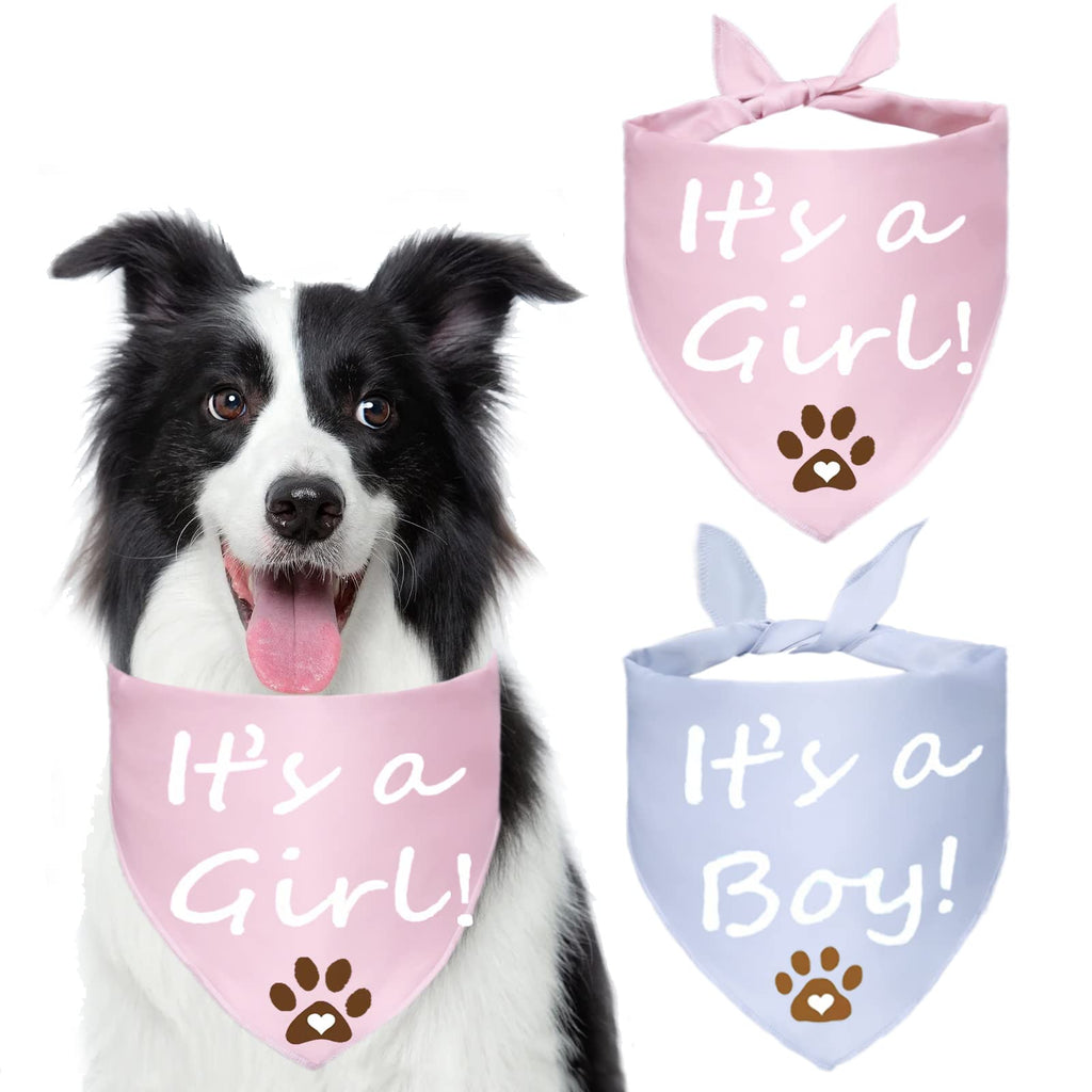 2 Pack It's A Boy It's A Girl Dog Bandana，Gender Reveal Dog Bandana，Dog Baby Announcement Pink Pink (Pack of 2) - PawsPlanet Australia