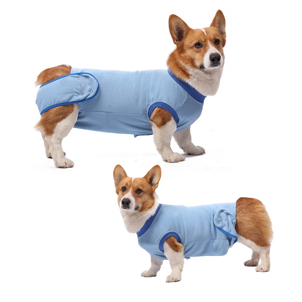 Dog Surgical Recovery Suits, Dog Recovery Suit, Cat Onesie After Surgery, Dog Body Suit Recovery, Surgery Suit for Male Female Dog Cat, Anti-Licking Pet Surgical Recovery Snuggly Suit XS Blue - PawsPlanet Australia