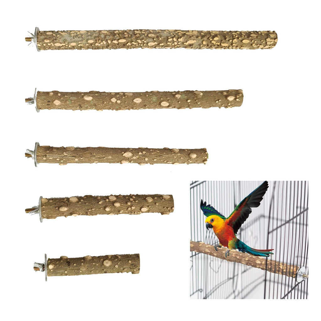5 Pcs Bird Perches Parrot Stand Natural Wood Prickly Perch Parrot Toys Bird Cage Accessories for Conure Cockatiel Parakeet 16″ 12″ 8″ 6″ 4″ - PawsPlanet Australia